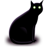 Black cat