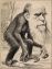 Darwin