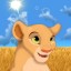 Animal Dream