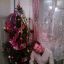 Алекс