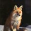 LonelyFox